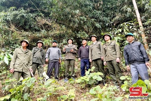'Giữ màu xanh trên lòng hồ thủy điện