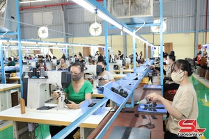 Sôi nổi khí thế làm việc ngày đầu năm mới