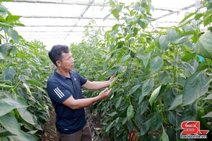 'Hiệu quả từ ứng dụng công nghệ vào sản xuất