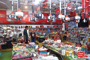 'Đảm bảo cung ứng giống, vật tư phục vụ sản xuất nông nghiệp