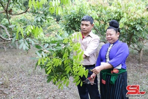'Những mô hình kinh tế hiệu quả của nông dân Tạ Khoa