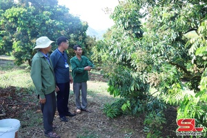 'Chiềng Khương đồng hành cùng các hợp tác xã