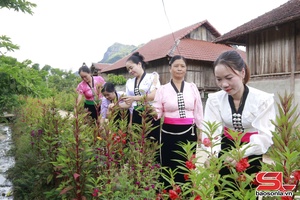 '“5 không, 3 sạch” góp phần xây dựng nông thôn mới