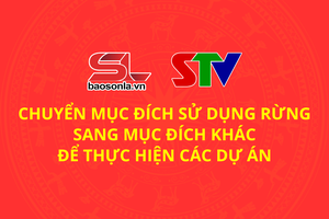 'Chuyển mục đích sử dụng rừng sang mục đích khác để thực hiện các dự án