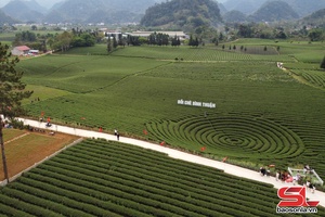 'Nông nghiệp xanh gắn với du lịch dưới chân đèo Pha Đin