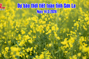 'Dự báo thời tiết toàn tỉnh Sơn La ngày 14/3/2026