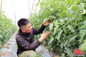 'Khát vọng “đánh thức” tiềm năng vùng đất Ngọc Chiến