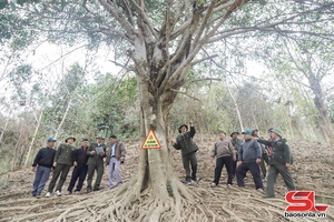 'Lãnh đạo thực hiện tốt chính sách DVMTR