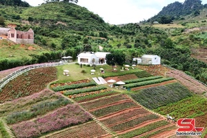 Chiềng Sơn mở hướng tiềm năng du lịch