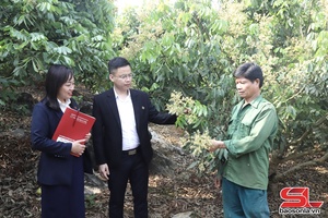 'Ngân hàng chủ lực trong thực hiện tín dụng tam nông