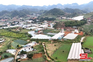 Nghị quyết đúng, trúng giúp nông nghiệp “nở hoa”