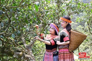 '“Dân vận khéo” ở xã vùng cao Tà Xùa