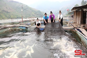 'Hiệu quả từ Dự án 8 ở Mường Khiêng