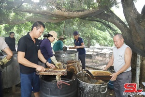 'Mật ngọt Sông Mã