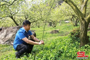'Tưới tiết kiệm, giảm nỗi lo khô hạn cho cây trồng