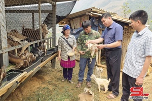 'Phiêng Pằn nâng cao thu nhập cho nhân dân