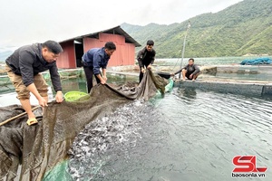 'Phát triển thủy sản bền vững