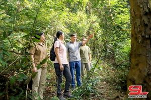 Huổi Một phòng chống “giặc lửa”