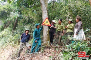 'Bám cơ sở, lan tỏa thông điệp giữ rừng