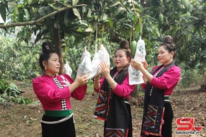 Phát triển kinh tế, giảm nghèo bền vững vùng đồng bào dân tộc