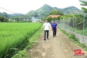 Tạo nguồn đảng viên từ phong trào thi đua