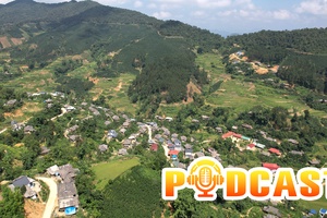 Bản tin Podcast ngày 1/5/2026