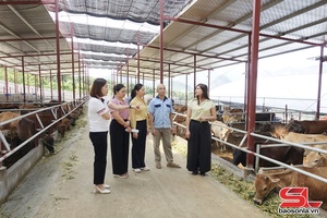 'Bảo vệ đàn gia súc, gia cầm thời điểm giao mùa
