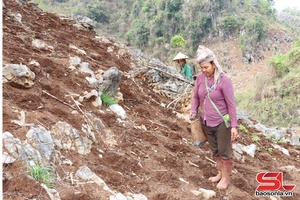 Tà Hộc vào vụ trồng cây trên nương