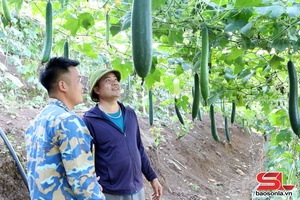 'Đổi thay ở bản Pặt