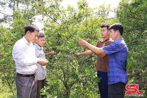 'Cà Pống nỗ lực vươn lên