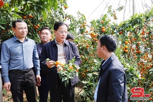 'Hành trình trở thành điểm sáng nông nghiệp:
Kỳ 1. Quyết sách trúng, quyết tâm cao
