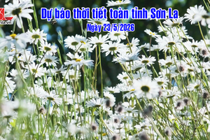 'Dự báo thời tiết toàn tỉnh Sơn La ngày 23/5/2026