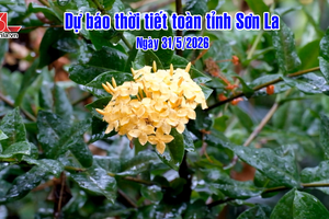 'Dự báo thời tiết toàn tỉnh Sơn La ngày 31/5/2026