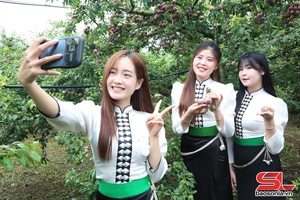 Khi thanh niên trở thành “đại sứ nông sản”