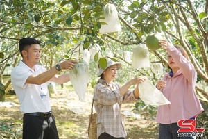 'Đồng hành cùng nông dân phát triển sản xuất