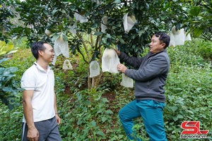 Đảng bộ xã Long Hẹ lãnh đạo nhân dân phát triển kinh tế