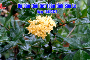 'Dự báo thời tiết toàn tỉnh Sơn La ngày 13/6/2026
