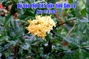 'Dự báo thời tiết toàn tỉnh Sơn La ngày 21/06/2026