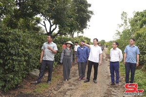 'Học tập cách làm từ những chuyến đi thực tế