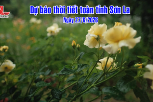 'Dự báo thời tiết toàn tỉnh Sơn La ngày 27/6/2026
