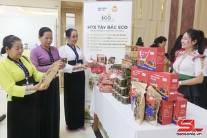 'Tăng quyền năng kinh tế cho phụ nữ dân tộc thiểu số