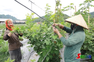 'Tạo việc làm cho lao động địa phương