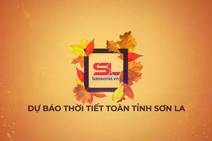 'Dự báo thời tiết toàn tỉnh Sơn La ngày 4/7/2026