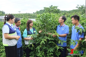 'Tạo giá trị mới từ những nông dân chuyên nghiệp