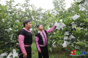 'Dòng họ học tập tiêu biểu