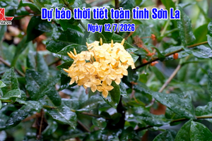 'Dự báo thời tiết toàn tỉnh Sơn La ngày 12/7/2026