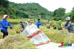 'Tuổi trẻ Chiềng Cơi xung kích vì cuộc sống cộng đồng