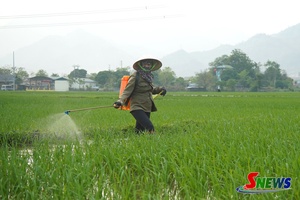'Giảm phát thải khí nhà kính trong sản xuất nông nghiệp