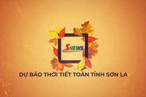 'Dự báo thời tiết toàn tỉnh Sơn La ngày 18/7/2026