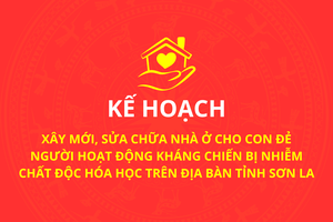 'Xây mới, sửa chữa nhà ở cho con đẻ người hoạt động kháng chiến bị nhiễm chất độc hóa học